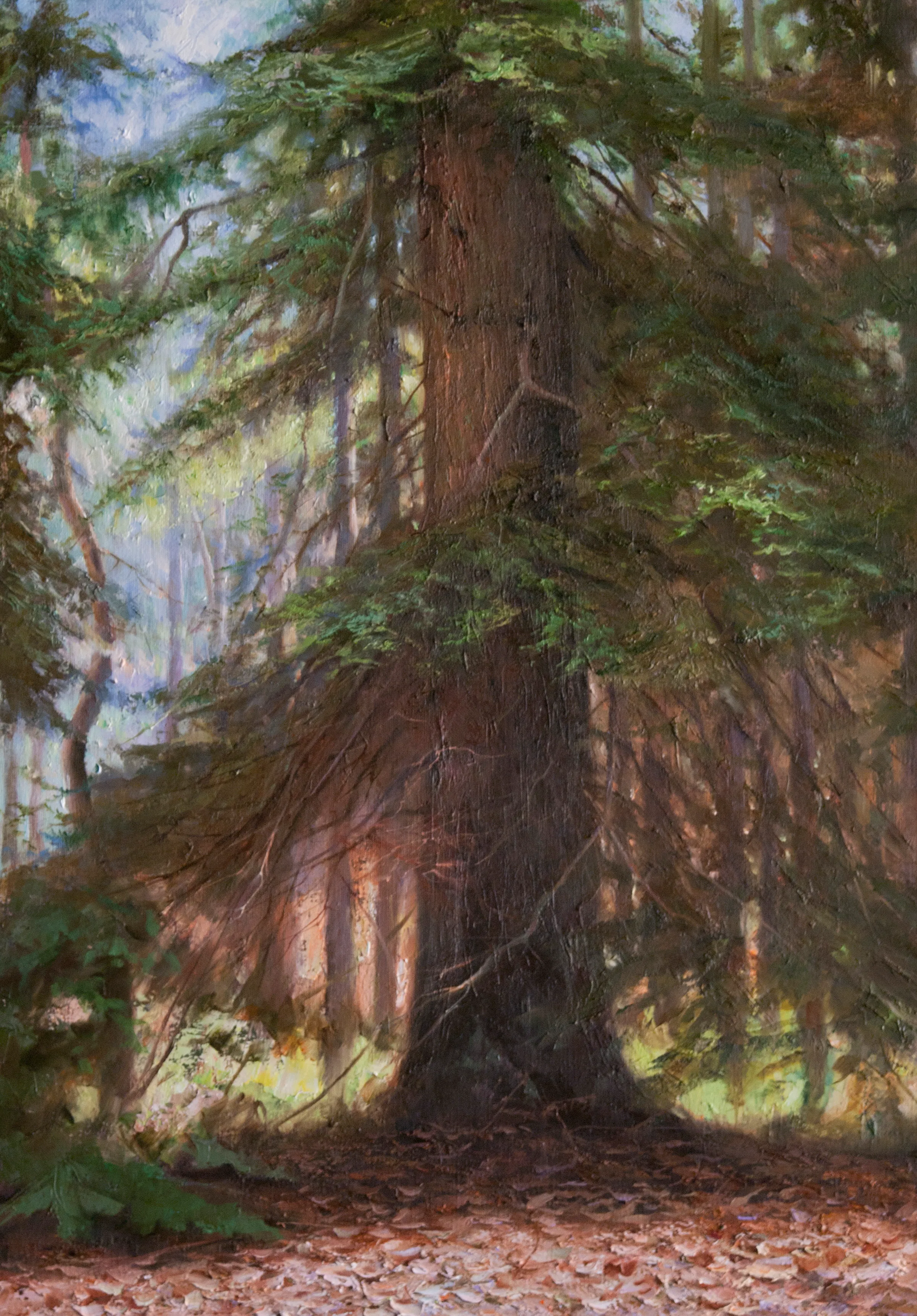 Bos 2