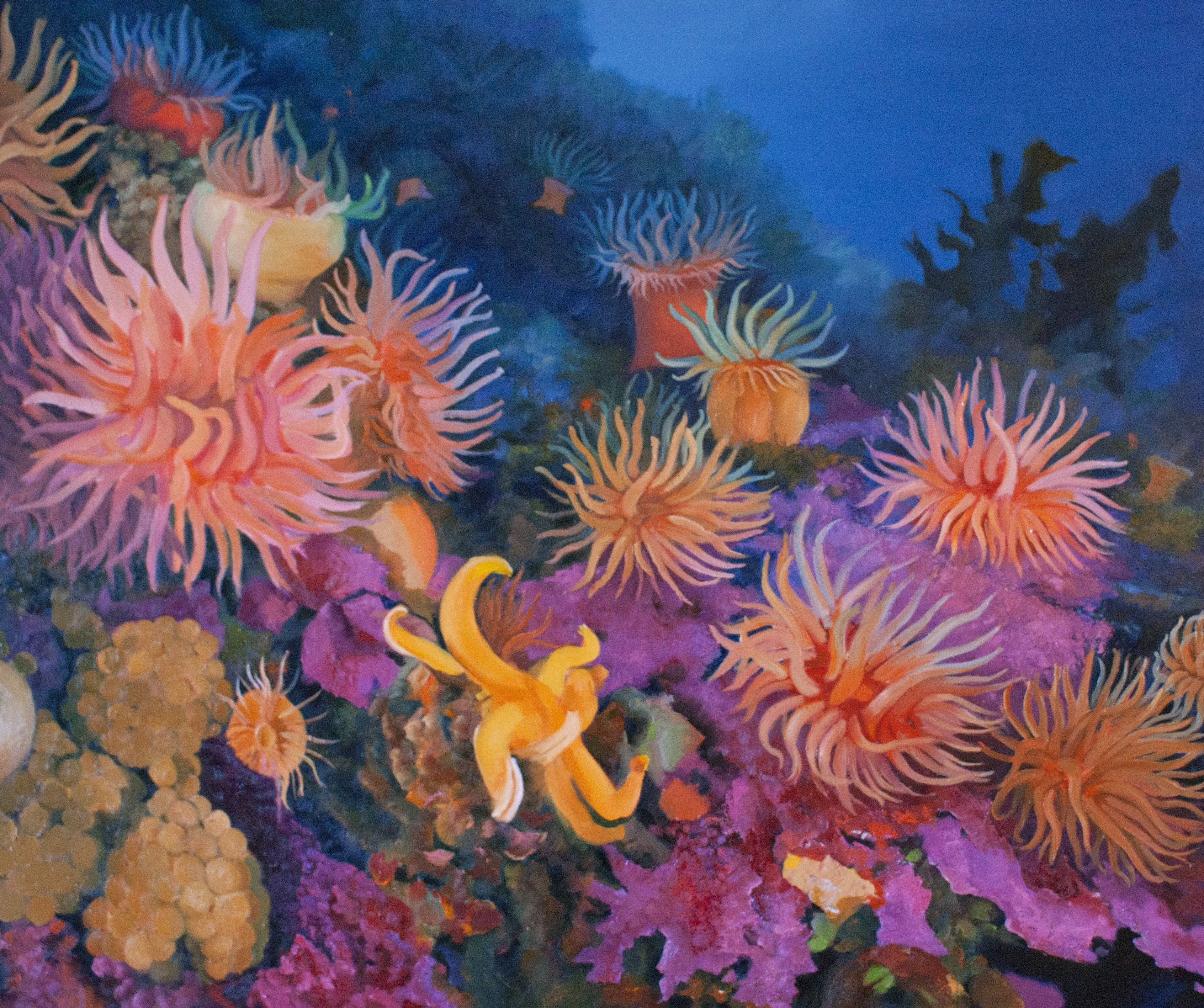 Zee 1, Frits van Holten